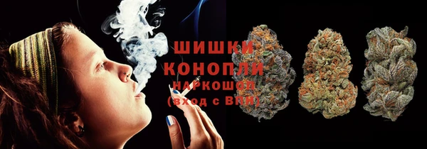 прущие грибы Армянск