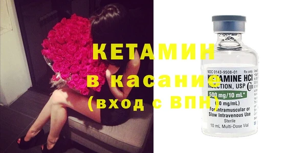 сатива Аркадак