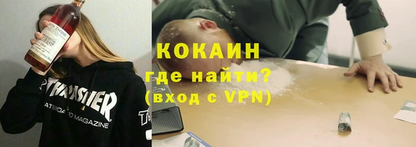сатива Аркадак