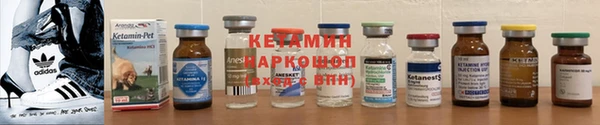 прущие грибы Армянск