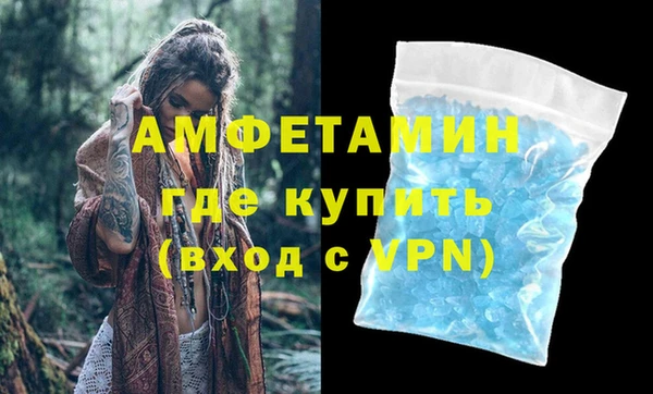 сатива Аркадак