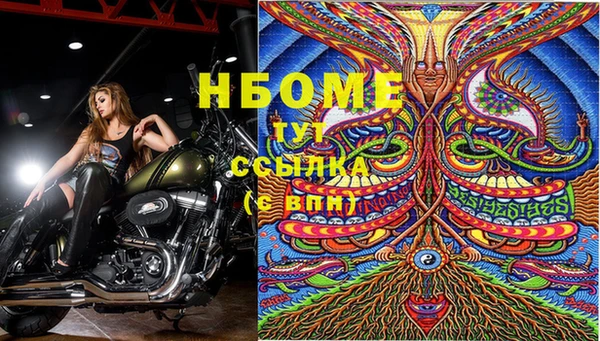 прущие грибы Армянск