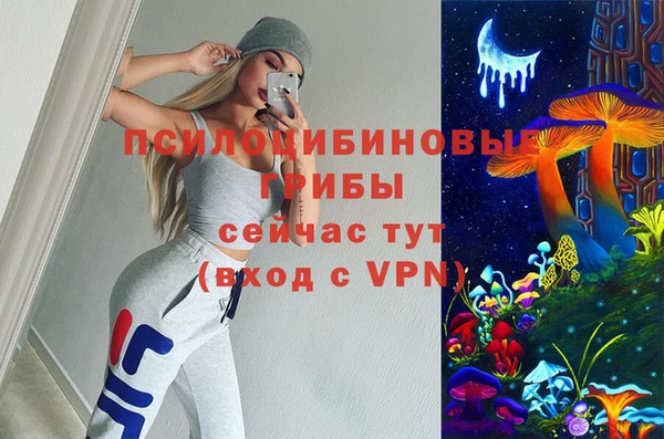 прущие грибы Армянск