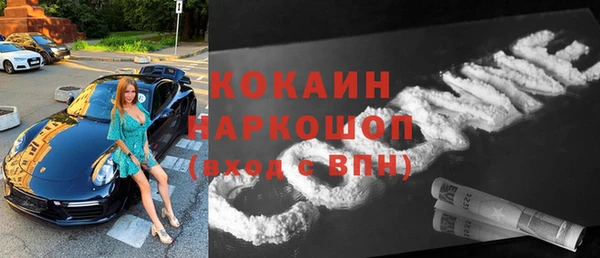 прущие грибы Армянск