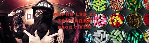 сатива Аркадак