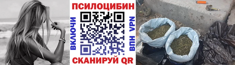 Псилоцибиновые грибы GOLDEN TEACHER  Ельня 