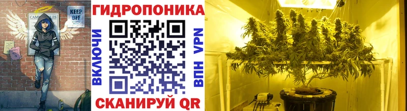 Бошки Шишки Ganja  Ельня 